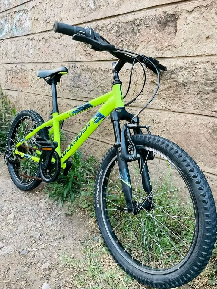 BMX bike size 20 inch